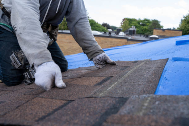 Best Storm Damage Roof Repair  in Fairfax, MN