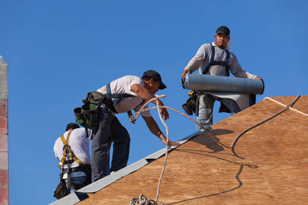 Best Roof Replacement Cost  in Fairfax, MN