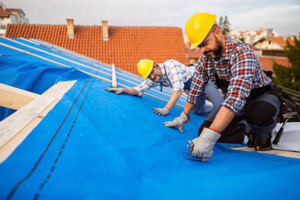 Best Storm Damage Roof Repair  in Fairfax, MN