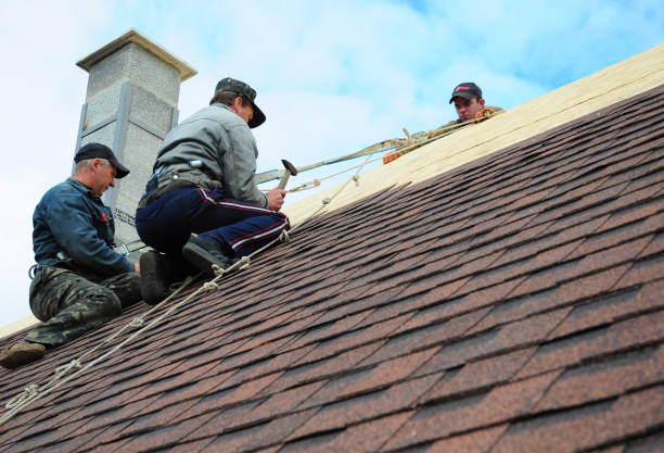 Best Commercial Roofing Services  in Fairfax, MN
