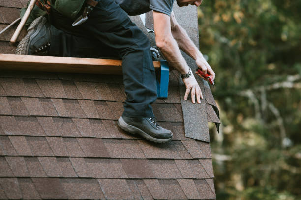 Best Roof Leak Repair  in Fairfax, MN